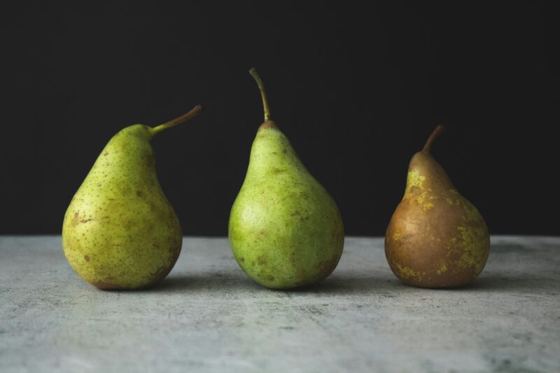 tijana drndarski 3zmVSZQIozA unsplash