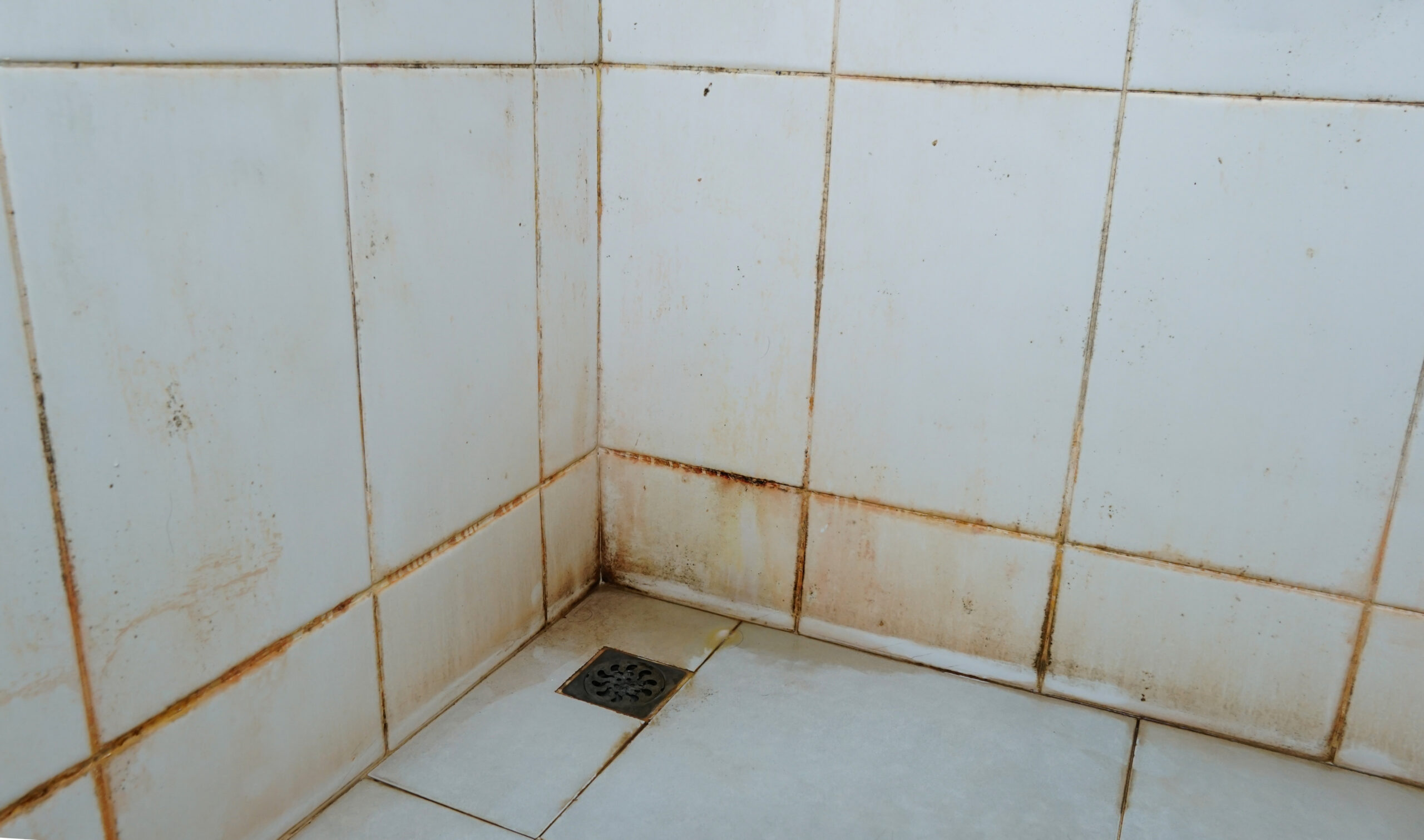 dirt floor stains walls corners bathroom tiles white slippery may scaled